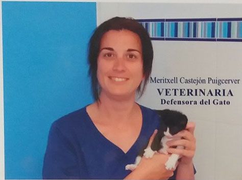 Clínica Veterinaria Rafael Coll Roselló veterinario3